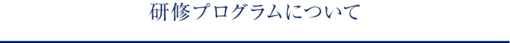 研究プログラムについて