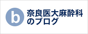 ޗǈ喃Ȃ̃uO